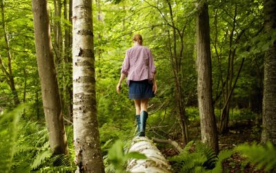 The Importance of Trees